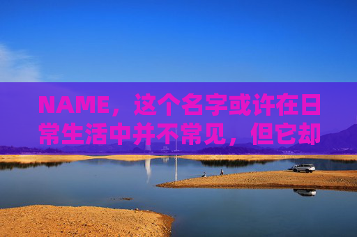 NAME，这个名字或许在日常生活中并不常见，但它却在某些领域里扮演着重要的角色。今天，让我们一起来探索这个名字背后的故事和意义
