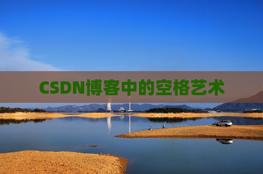 CSDN博客中的空格艺术